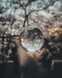person holding round glass ball