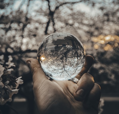 person holding round glass ball