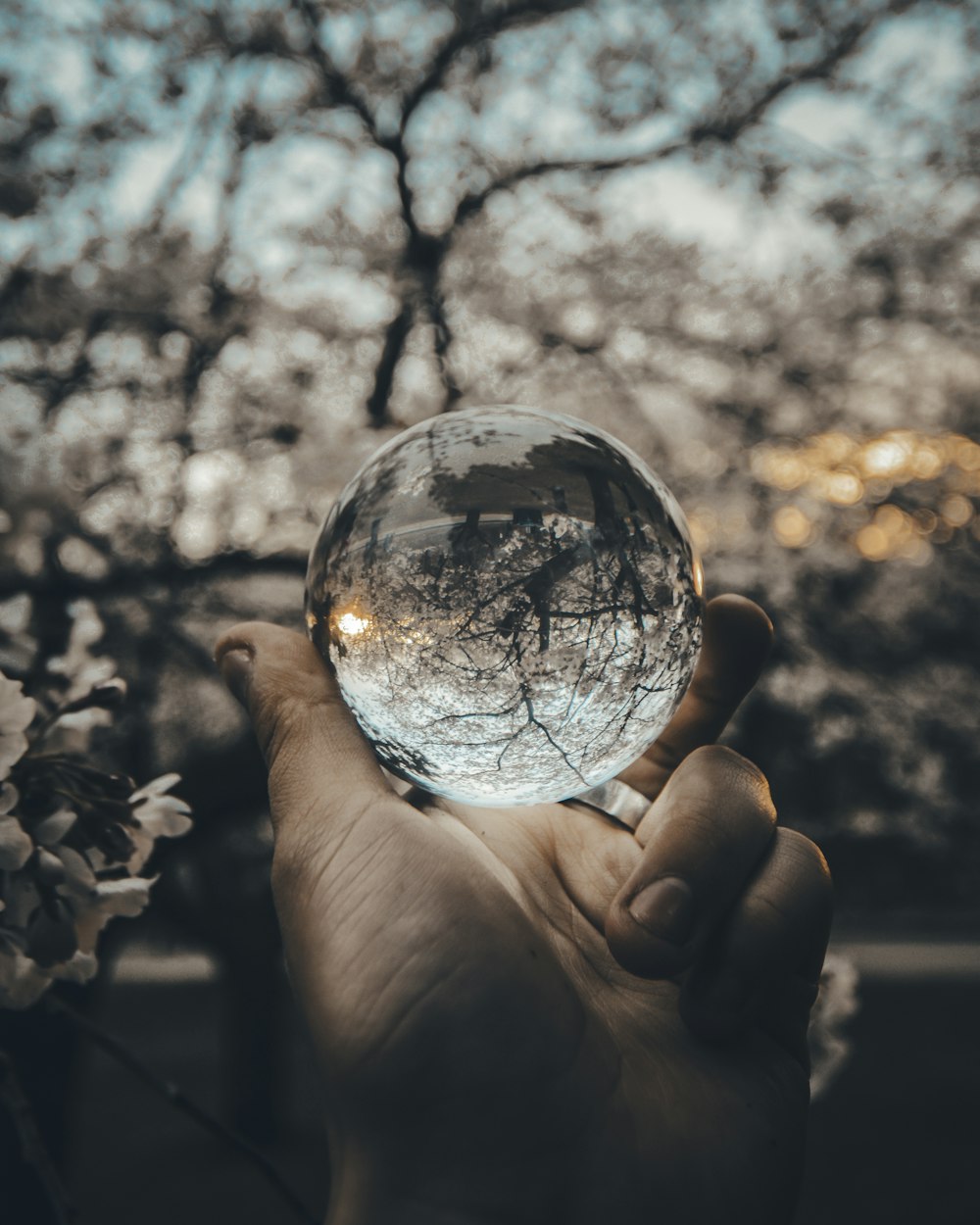 person holding round glass ball