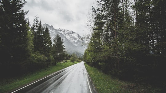 gray asphalt road surrounded by trees during daytime in Scharnitz Austria