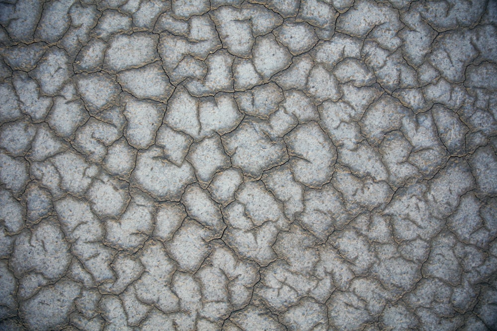 cracked ground