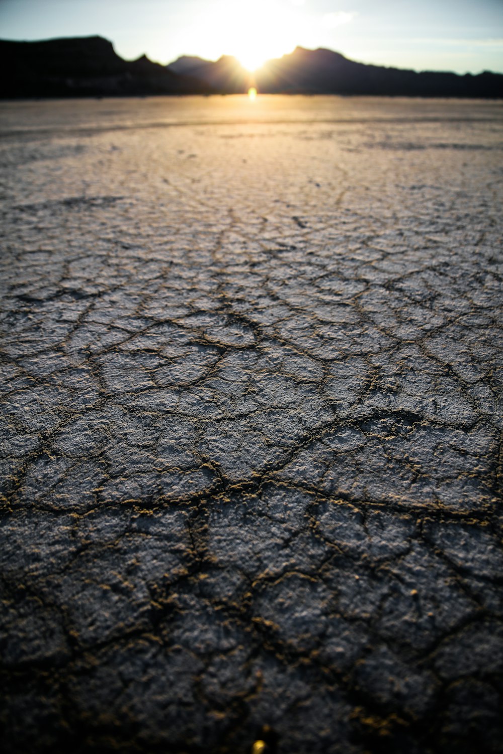 selective focus photography of dry soil