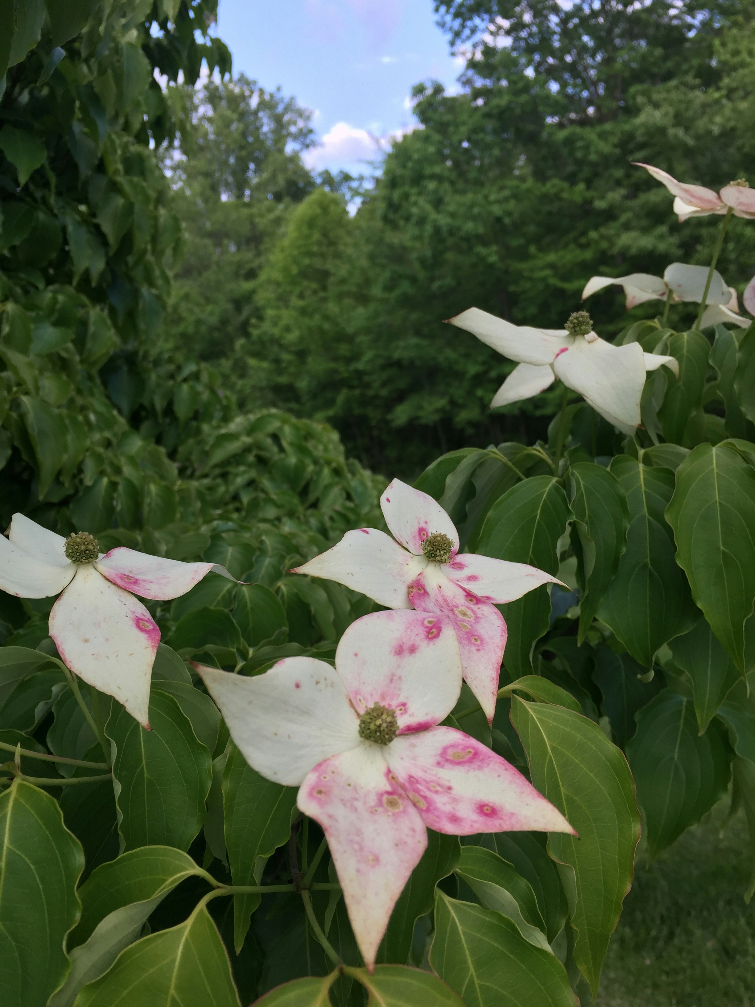 Free Unsplash photo from Megan Kellner