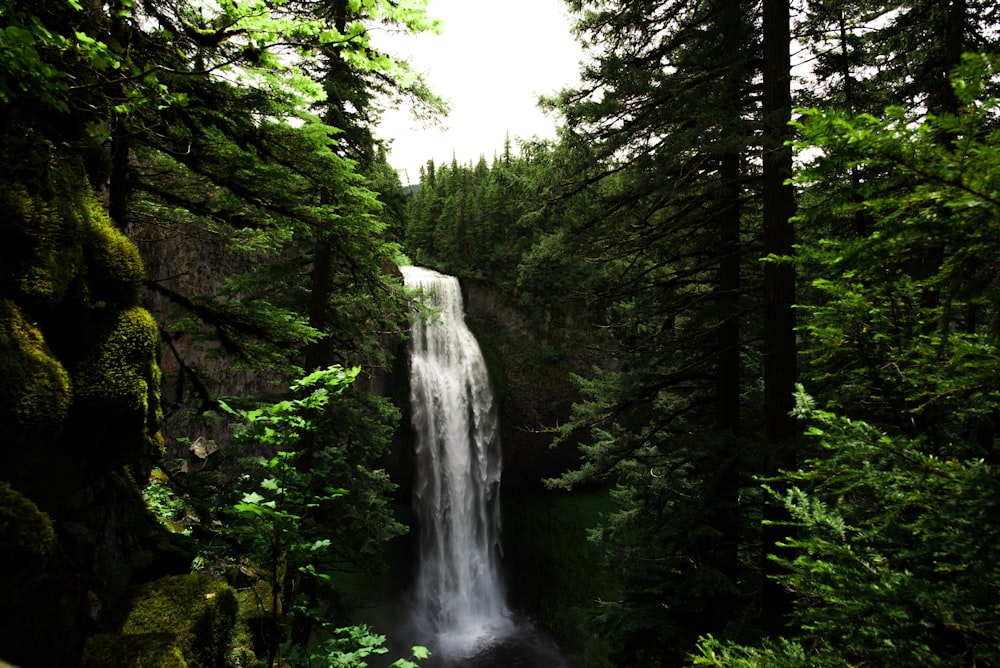 waterfalls during daytime