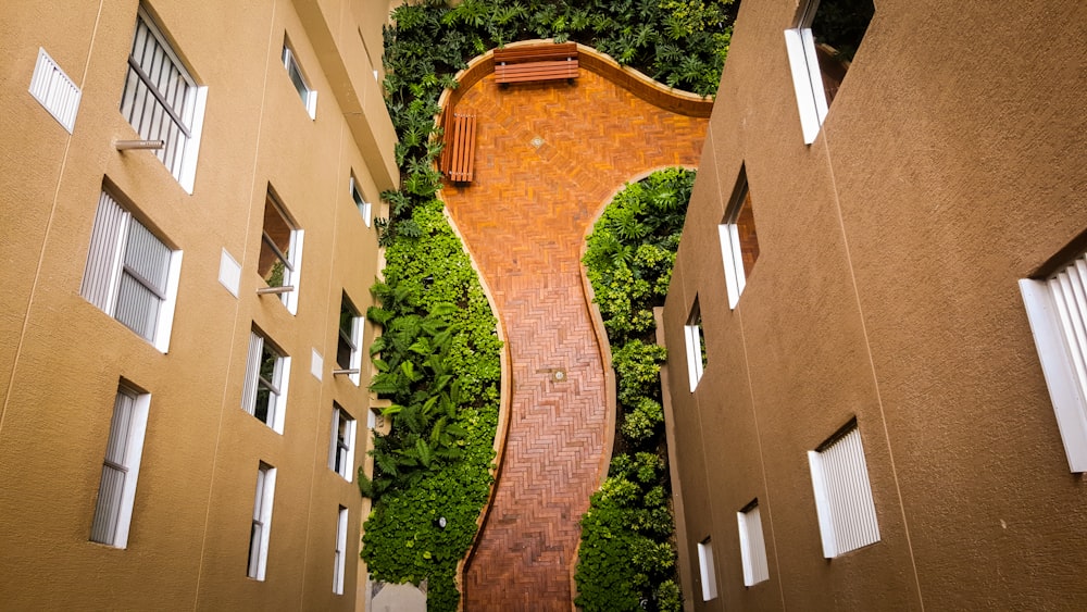 tiled pathway between buildings