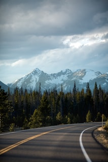 green trees beside black asphalt road