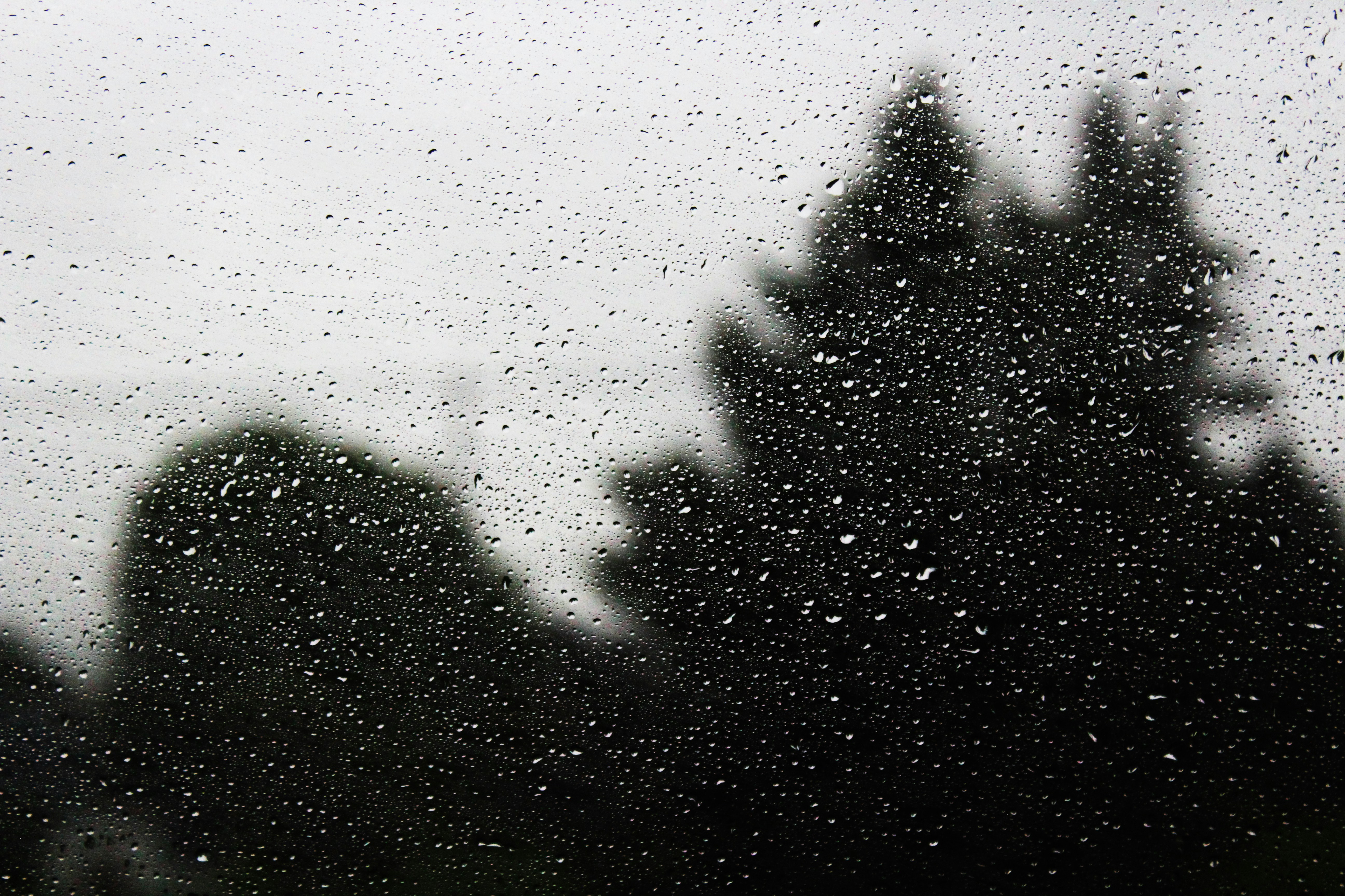 Drops On My Window