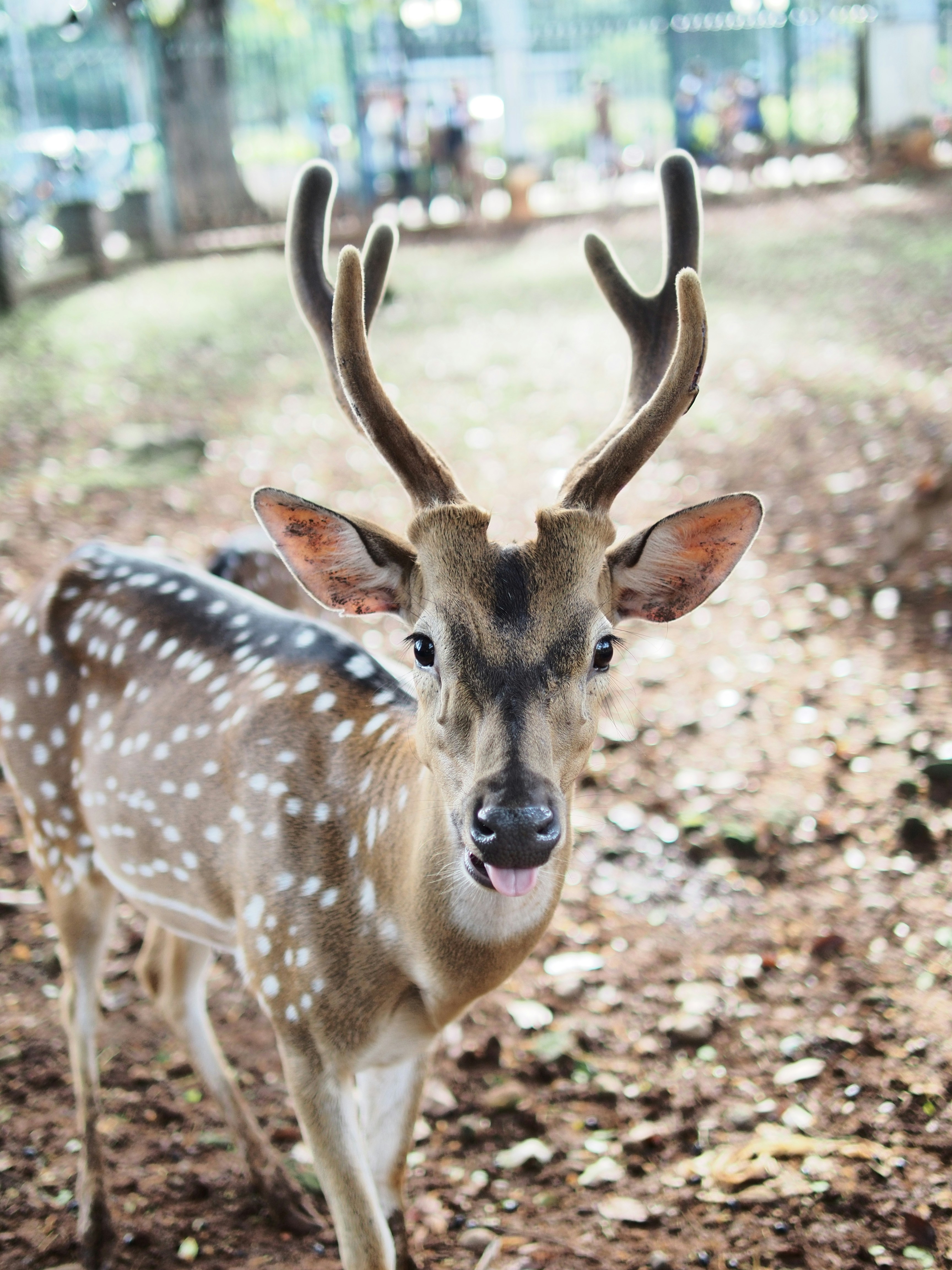 Free Unsplash photo from He Guoyong
