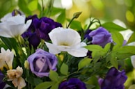 Close-up of blooming Lisianthus flowers in soft green garden setting
