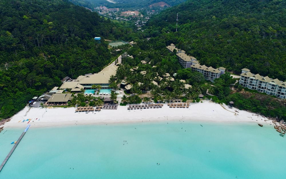 aerial view of beach shore