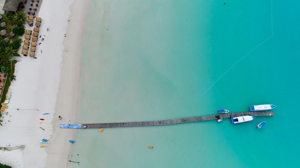 aerial photography of beach