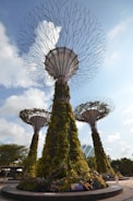Large artificial structures resembling futuristic trees are covered in lush greenery. These tall, tree-like installations rise against a partly cloudy sky, with their canopies extending outward. Below, smaller plants flourish at the base of these structures. The scene is set in an outdoor environment with additional hints of modern architecture visible in the background.