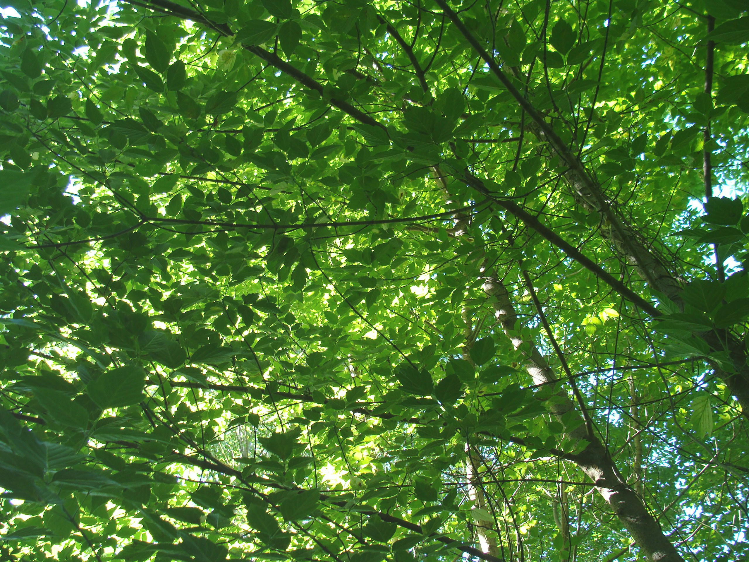 Free Unsplash photo from Olya Bondarenko