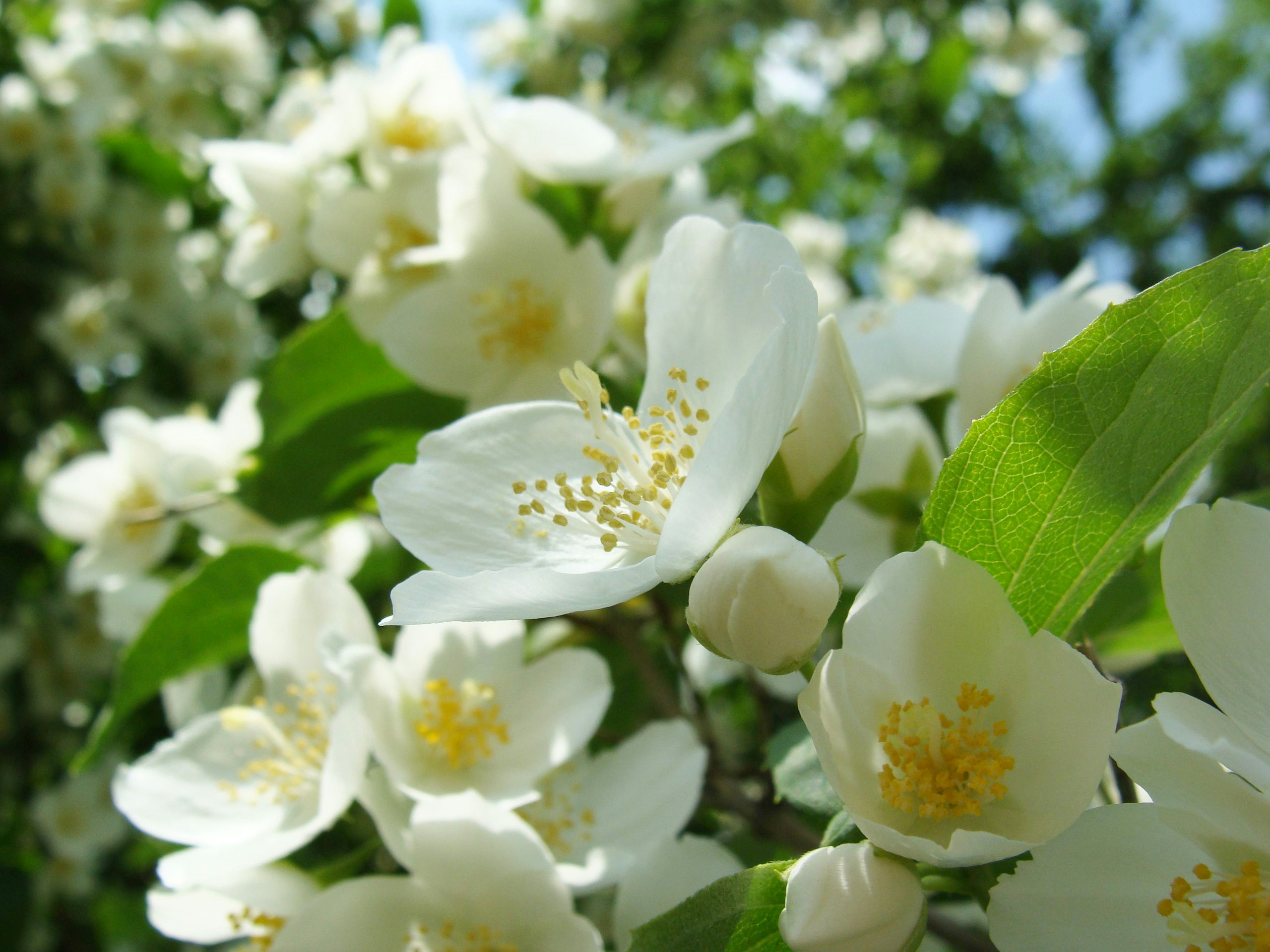 Free Unsplash photo from Olya Bondarenko