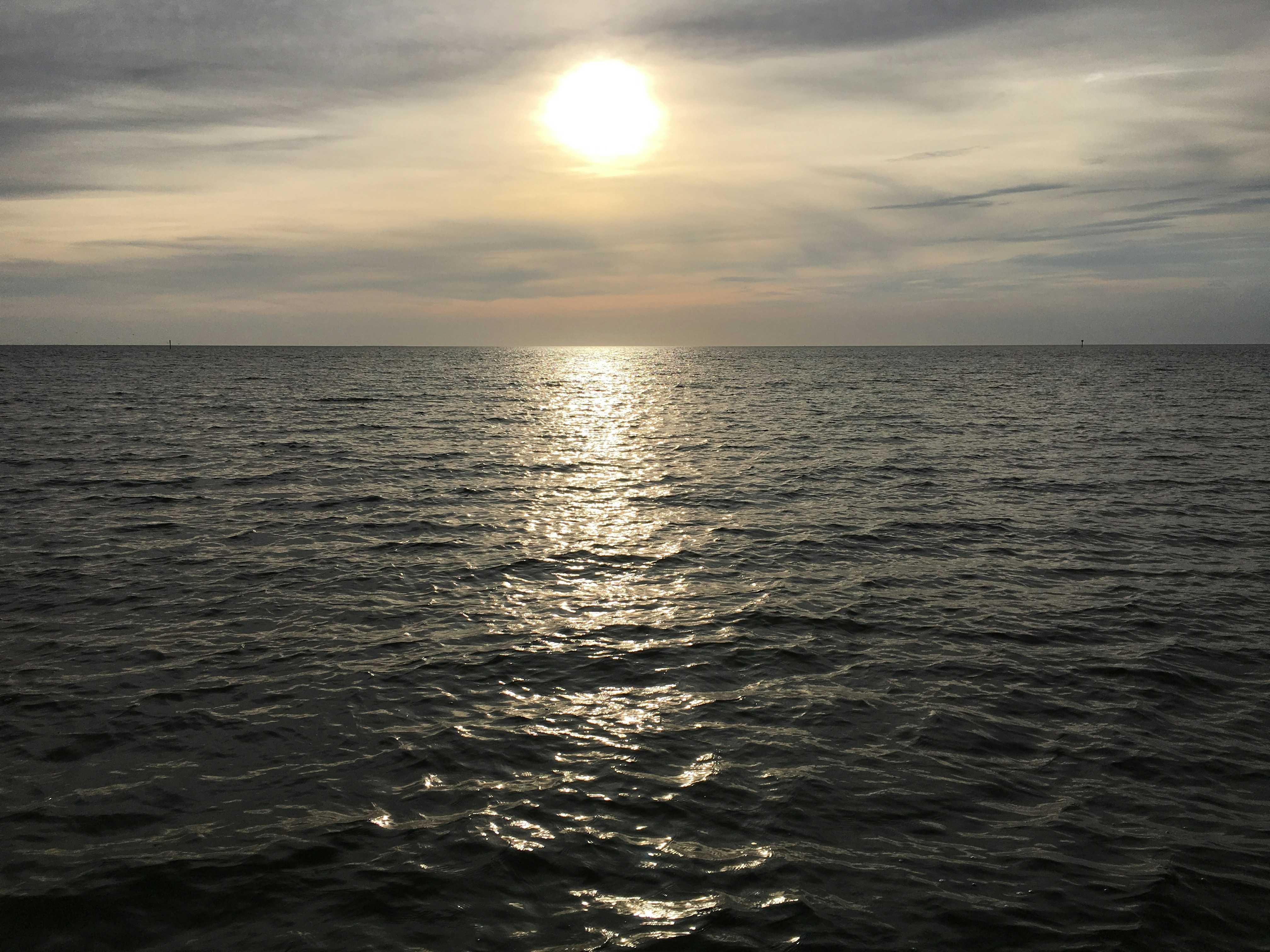 Free Unsplash photo from Chris Liu-Beers