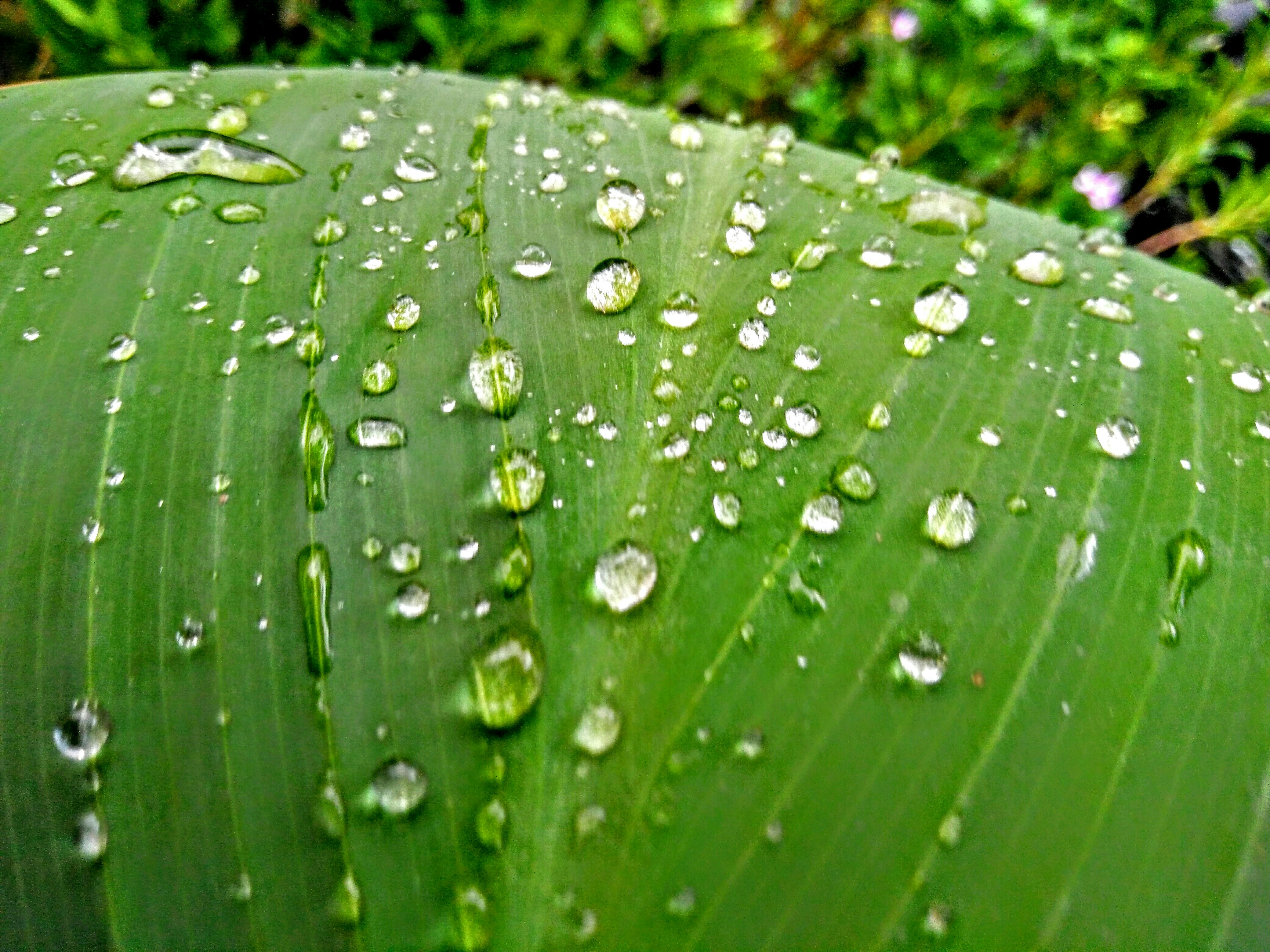 Free Unsplash photo from aman agrawal