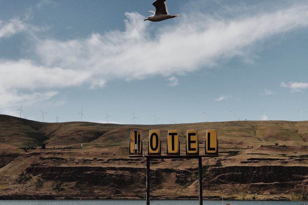 gull flying above motel signage