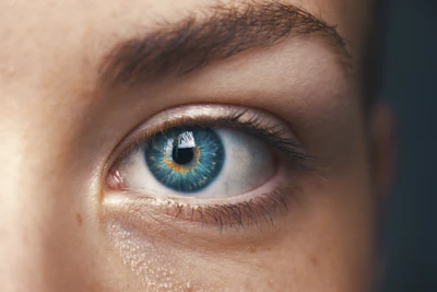How Do Varifocal Contact Lenses Work?