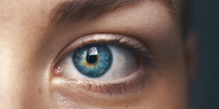 selective focus of blue-eyed person