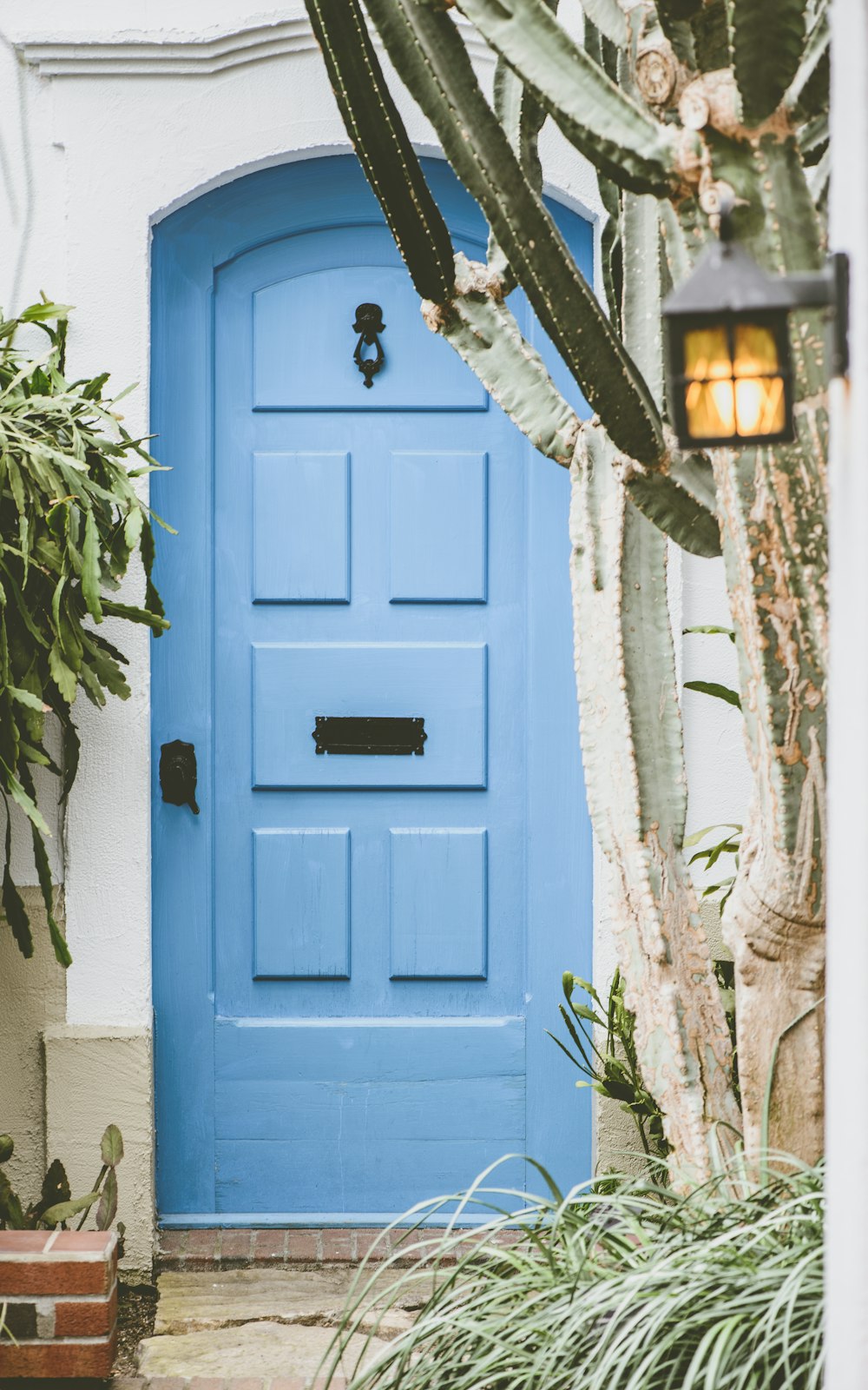 Porte en bois bleue fermée