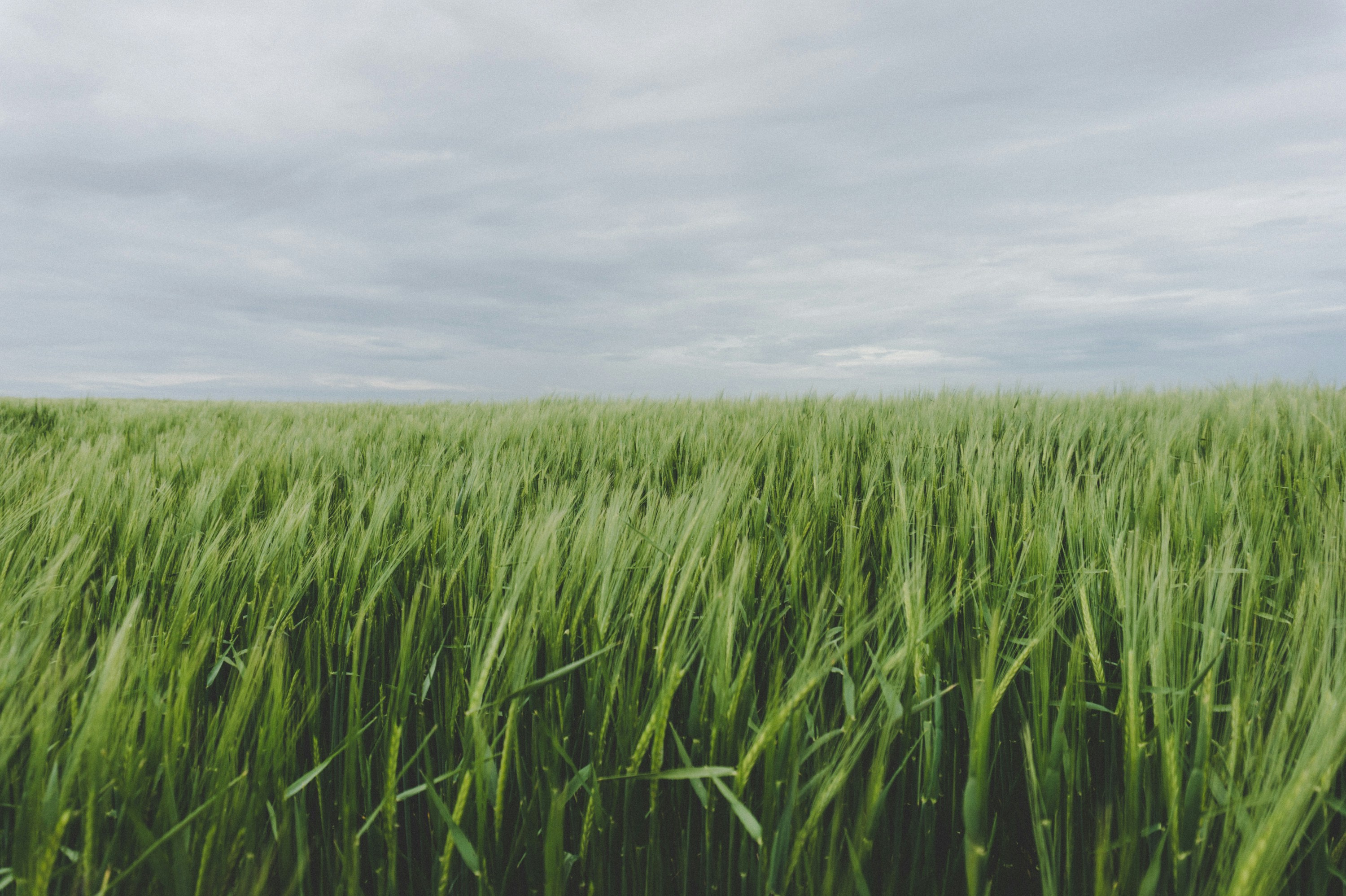 Free Unsplash photo from Jamie Dench