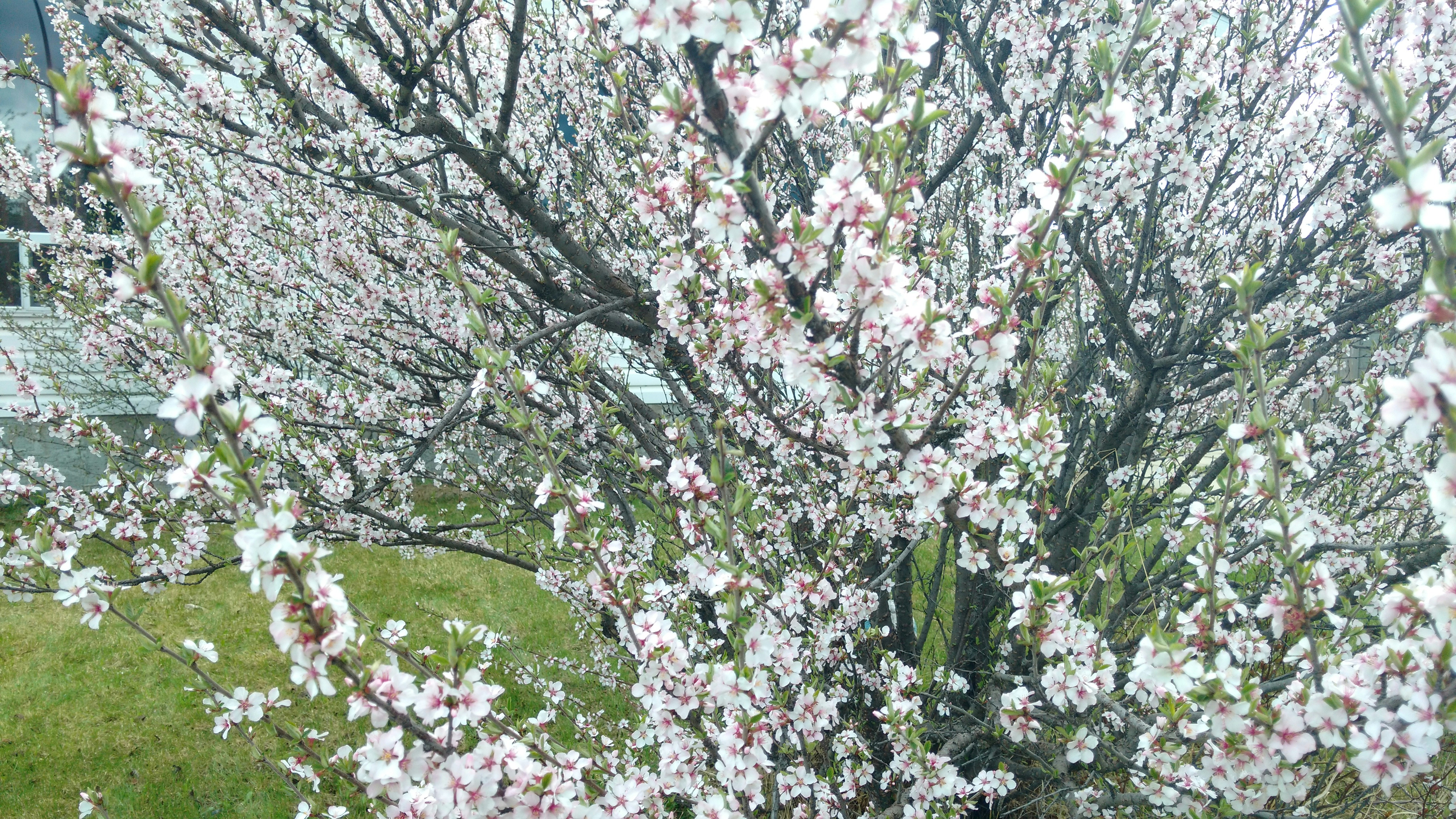 Free Unsplash photo from Juan Molina