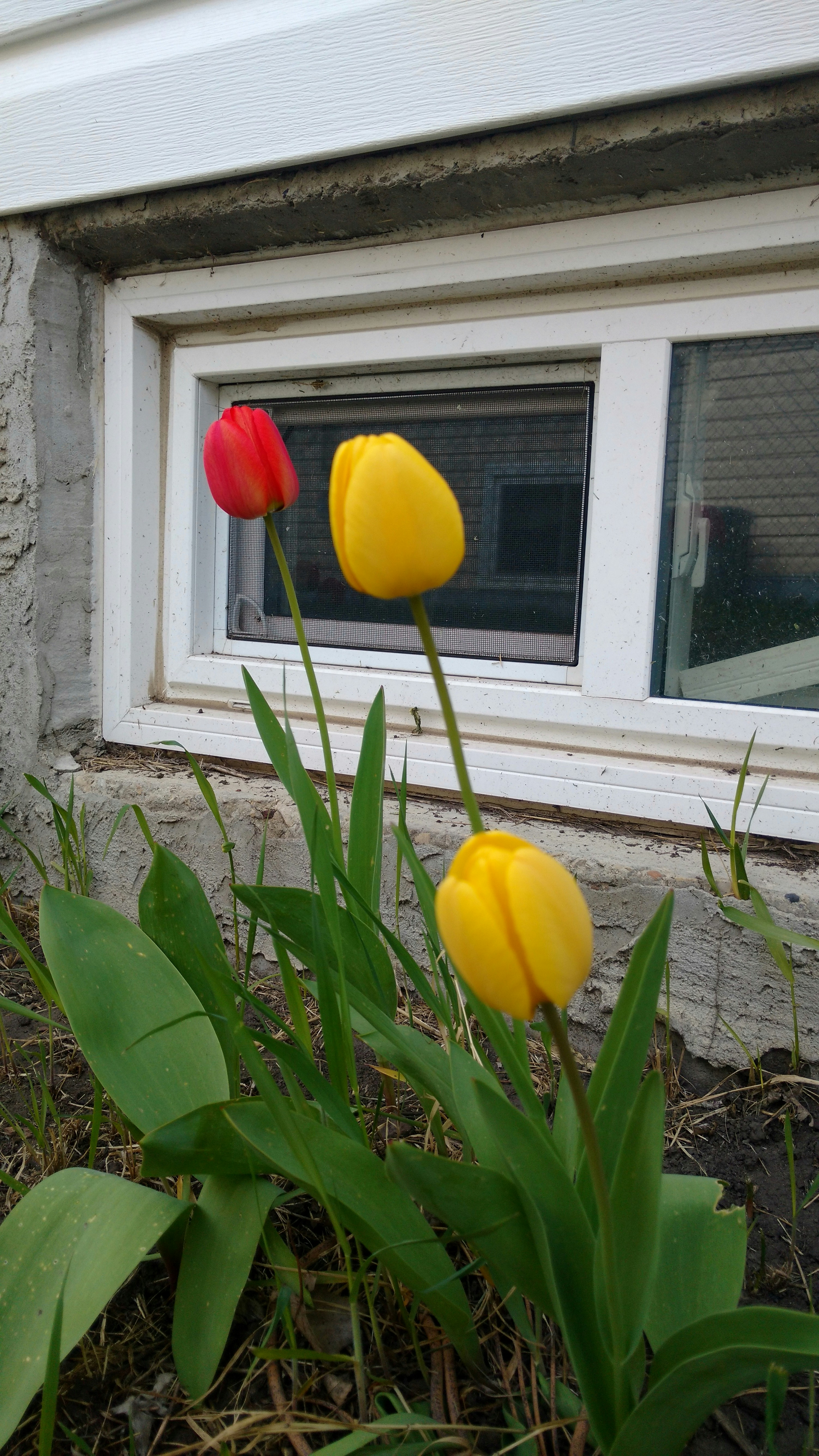 Free Unsplash photo from Juan Molina