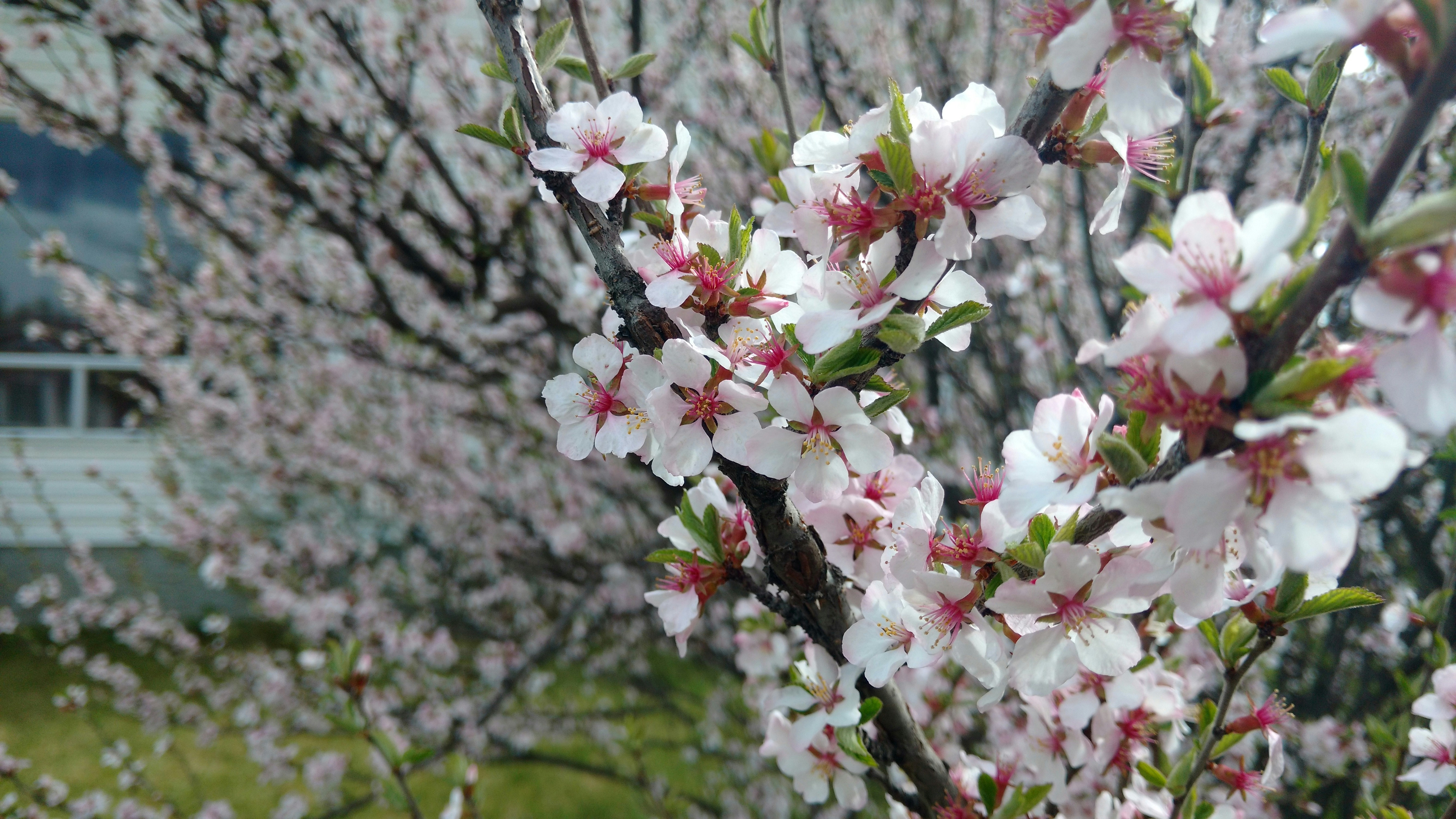 Free Unsplash photo from Juan Molina