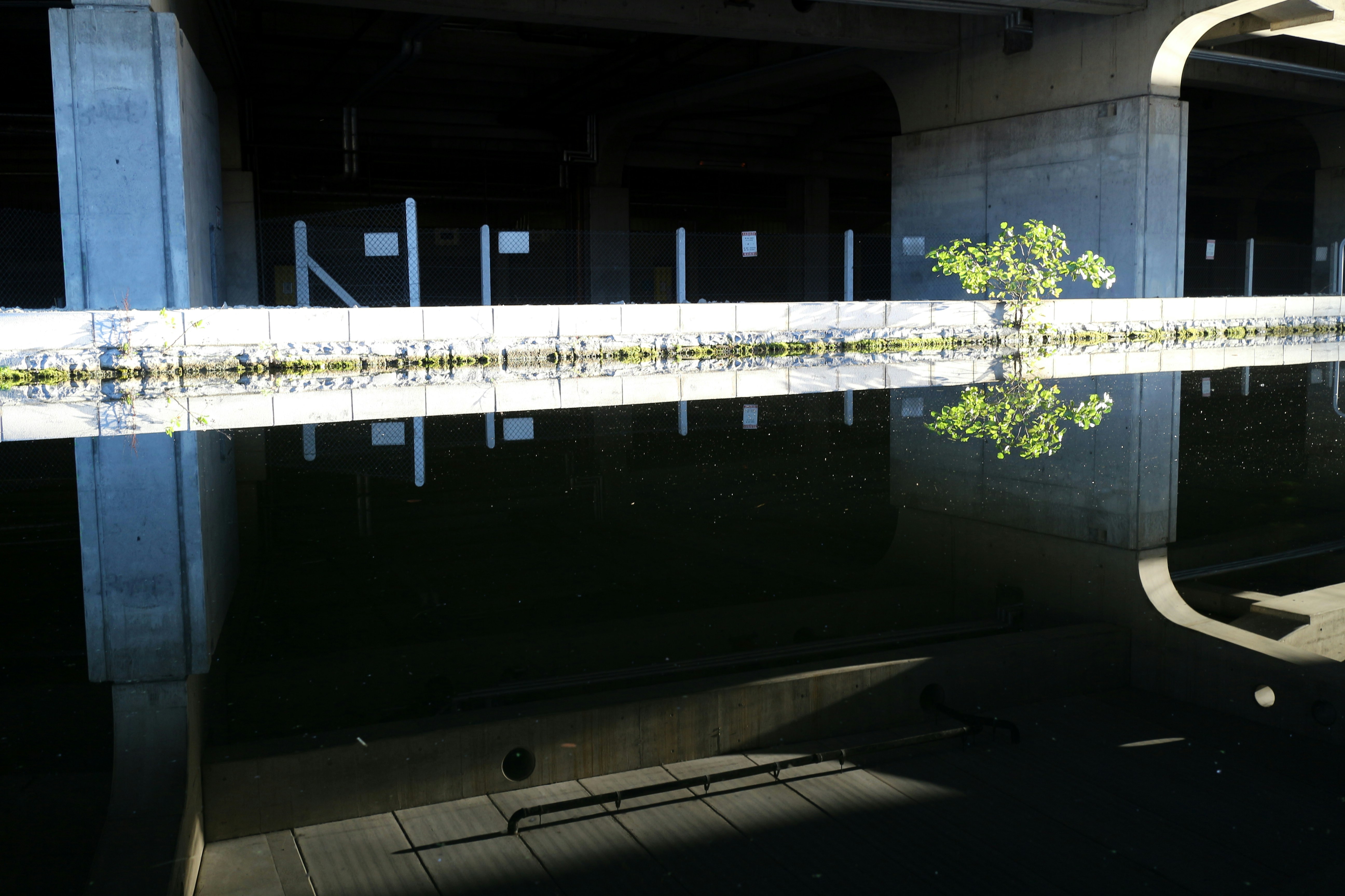 Free Unsplash photo from David Costello