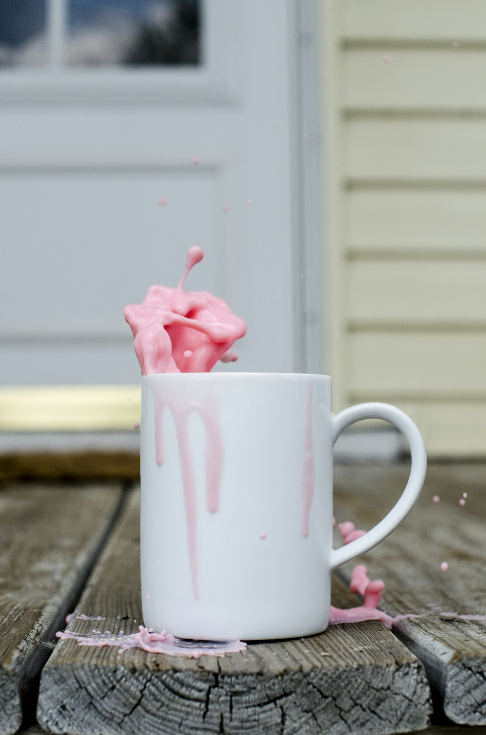 pink rose in white ceramic mug