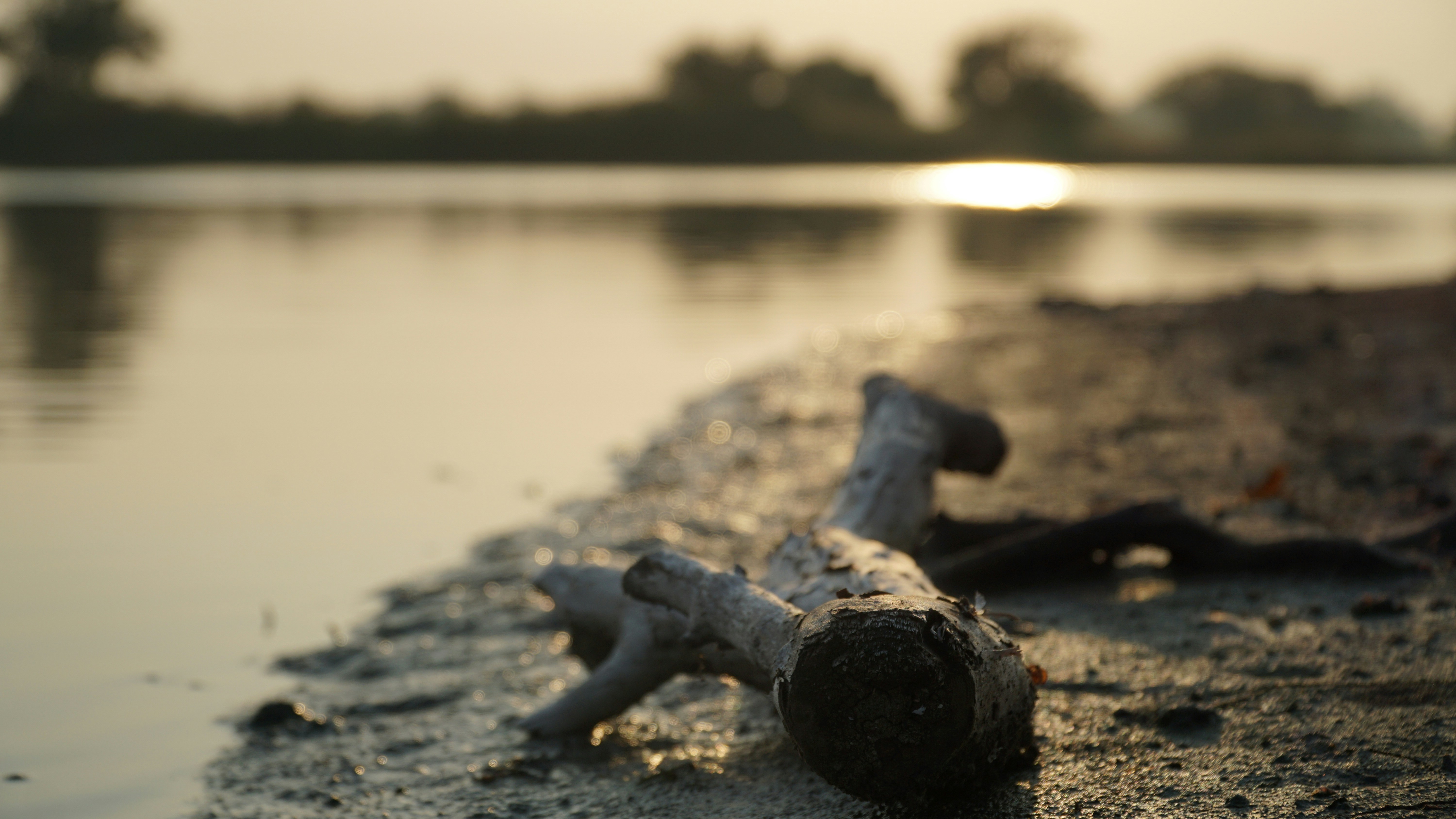 Free Unsplash photo from diyan agung