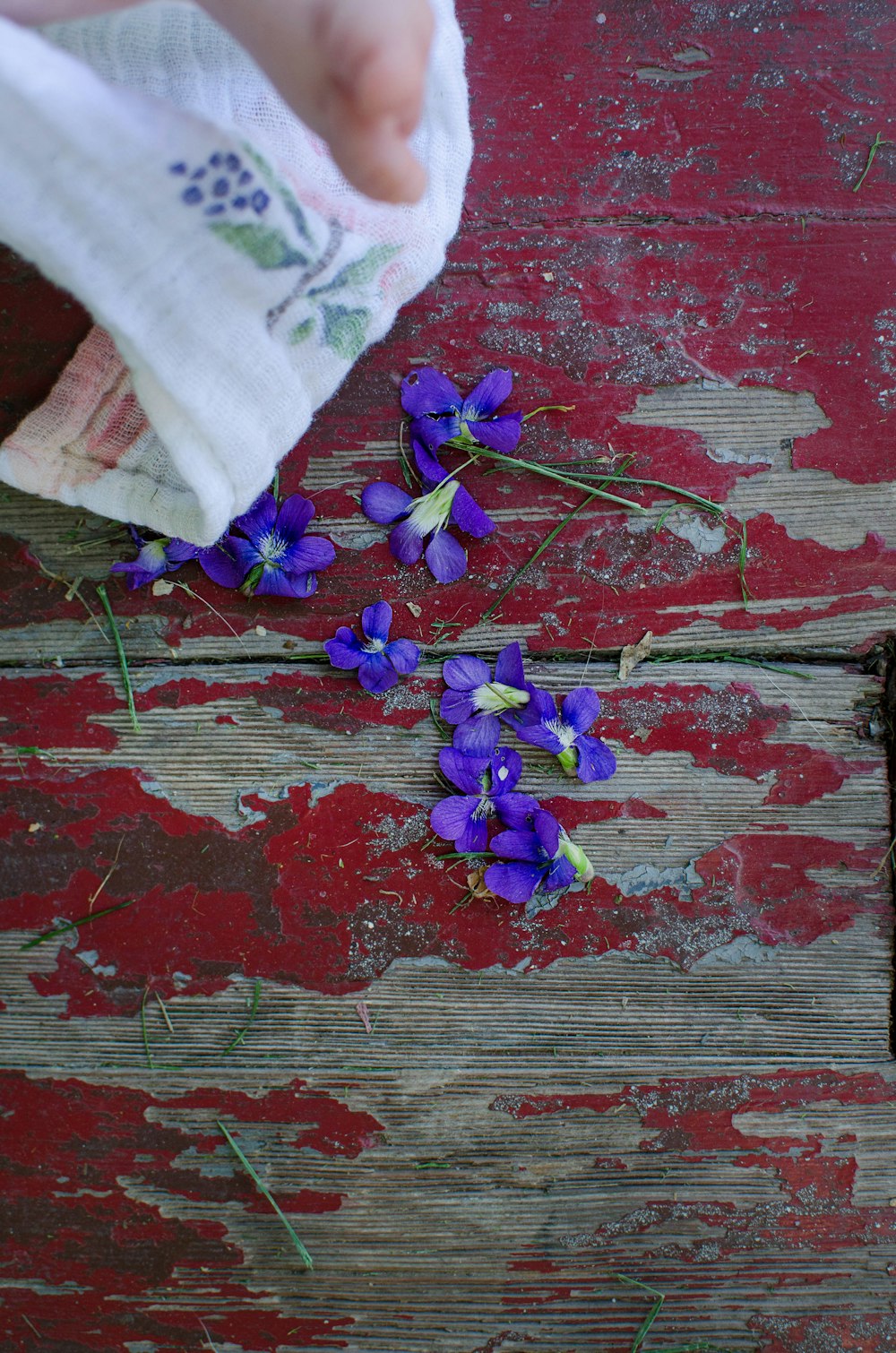 紫色の花の束の上に布を持っている人