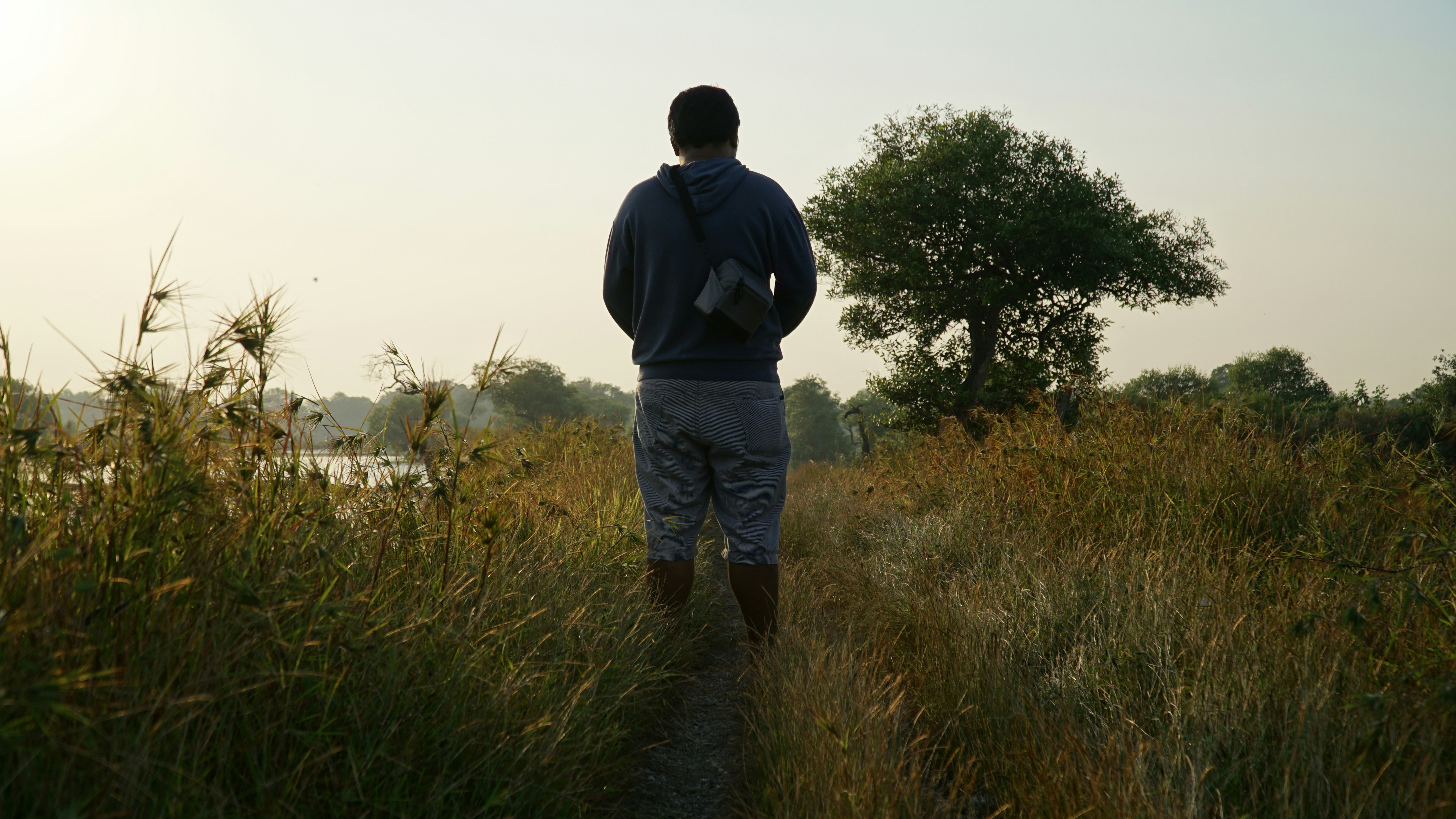 Free Unsplash photo from diyan agung