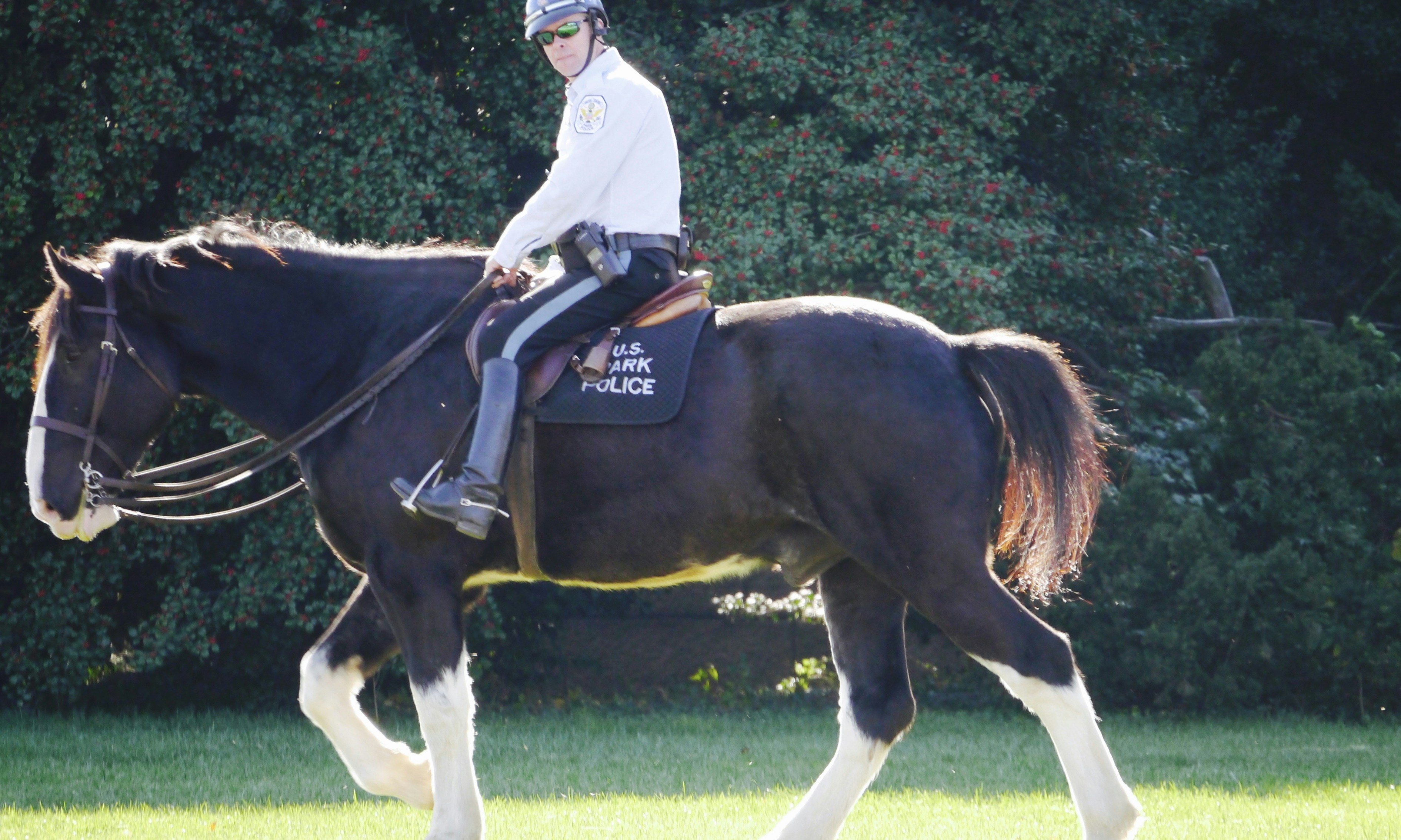 Free Unsplash photo from Heimir Jónasson