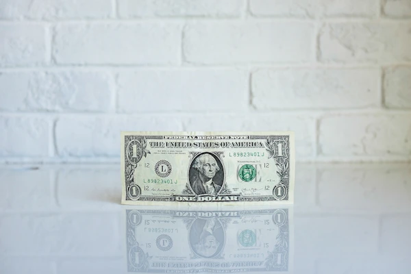 What You Need to Know About Credit Card Fees