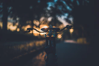 A close-up of a biker's gloved hand gripping the handlebar with a sunset in the background.