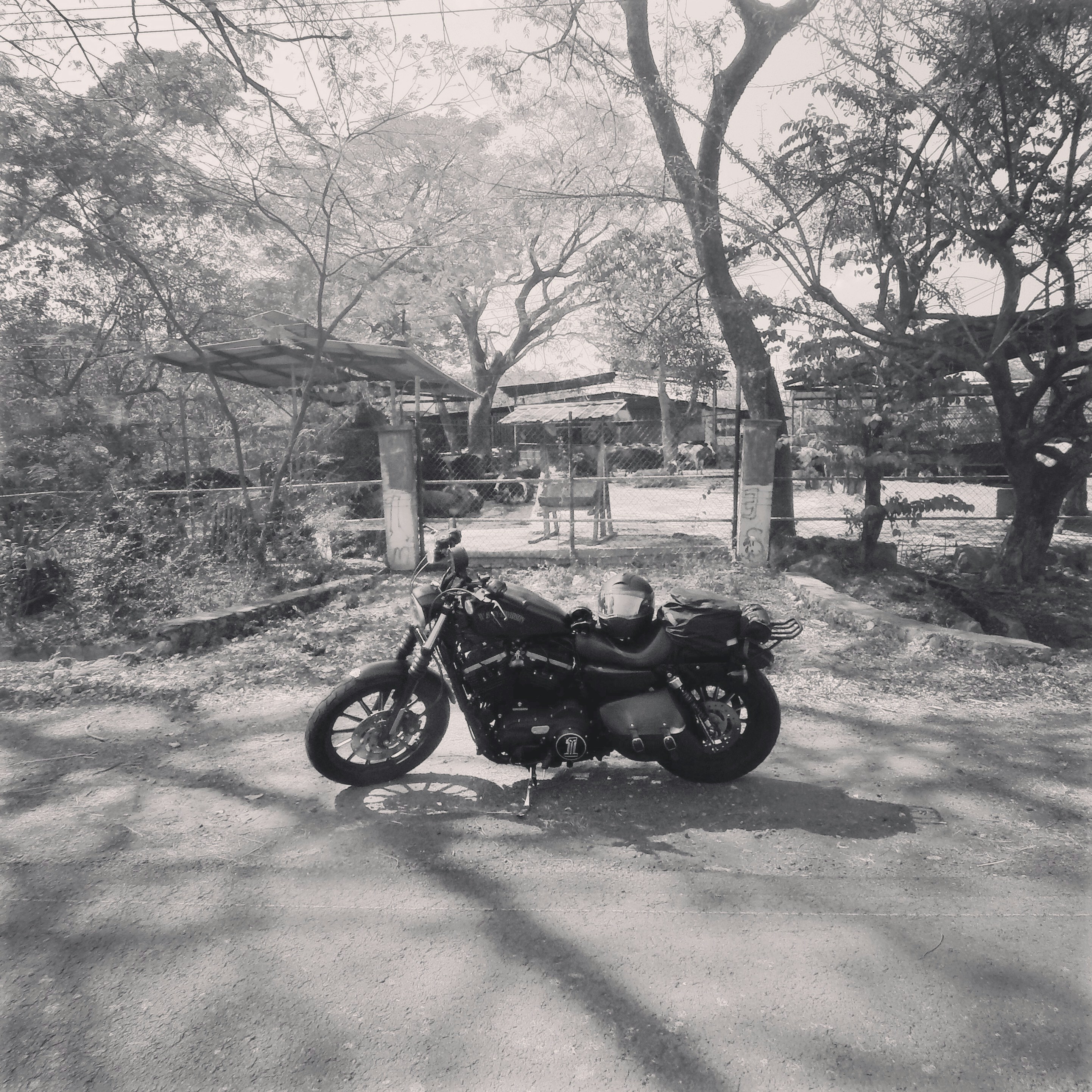 Free Unsplash photo from Rossina  Duch