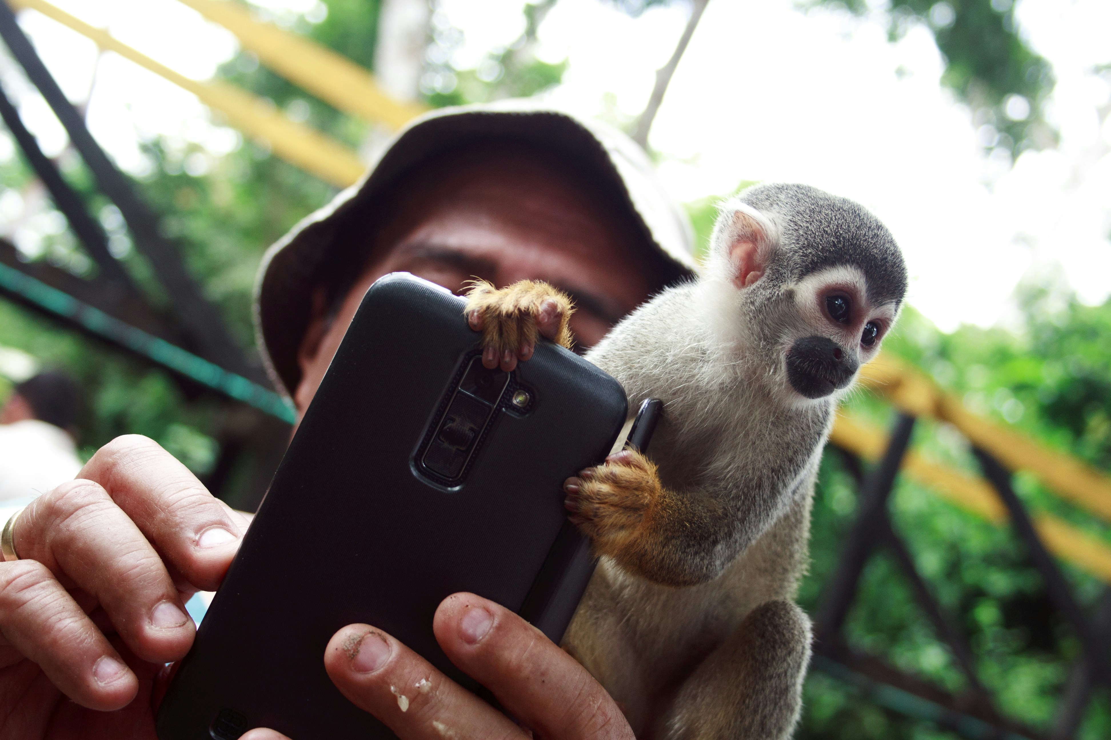 Free Unsplash photo from JJ Perez