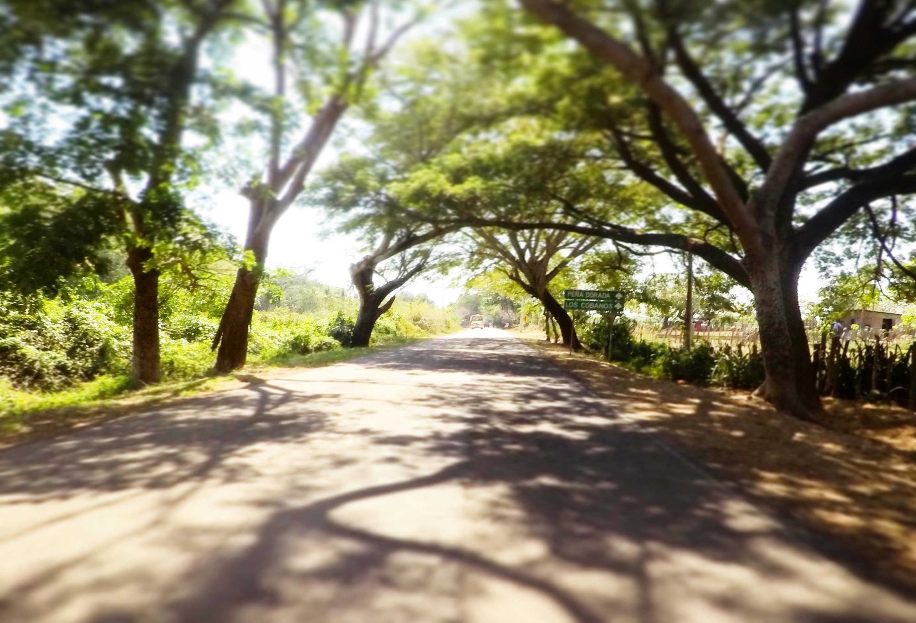 Free Unsplash photo from Rossina  Duch