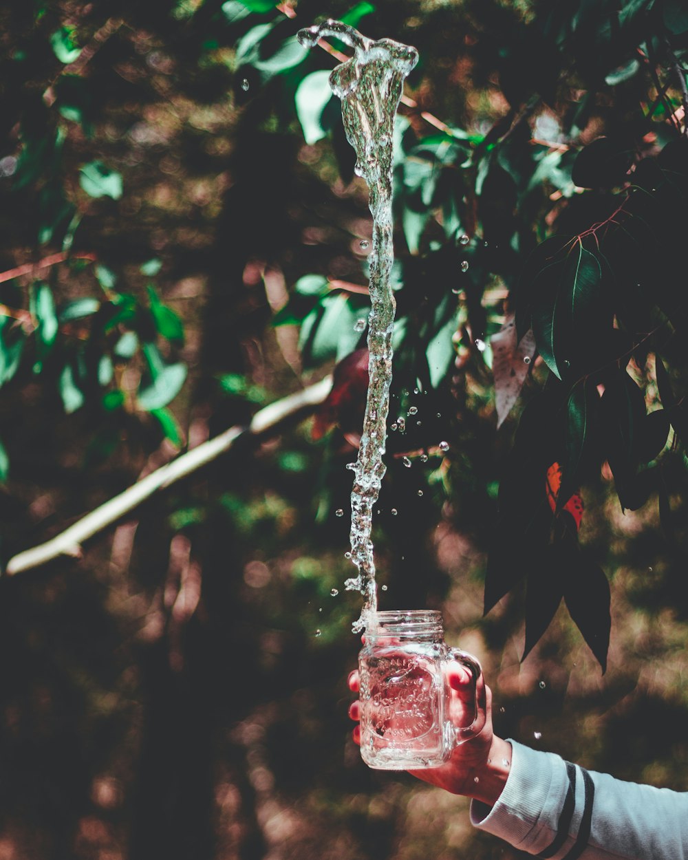 person holding glass mason jar