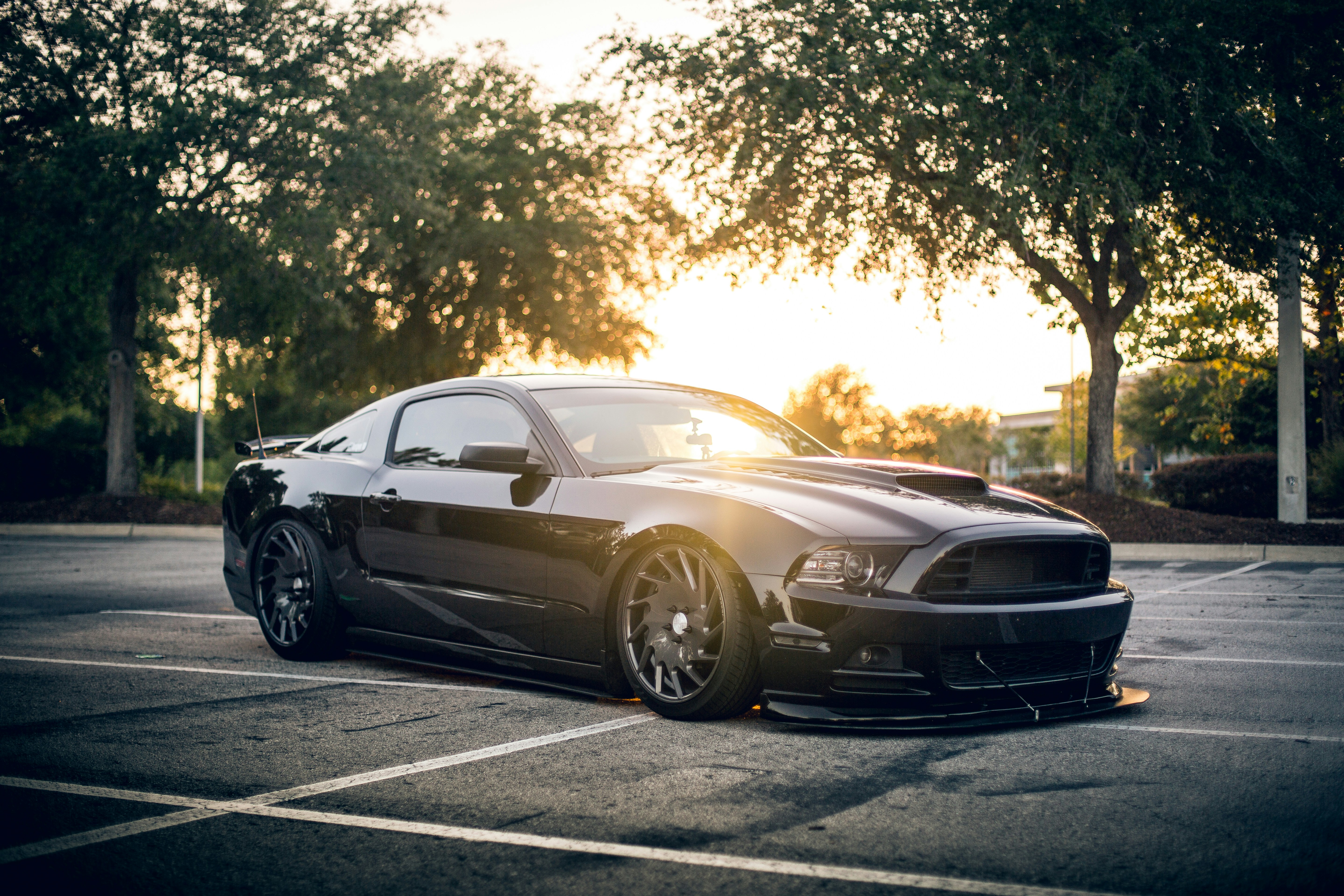 Just wondering how my photography of my car does on unsplash