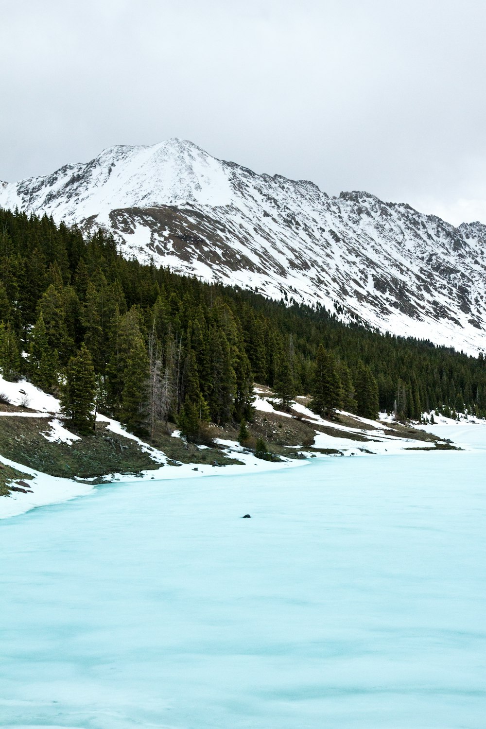 árvores altas ao lado de corpo de água gelado com alpes de montanha à distância