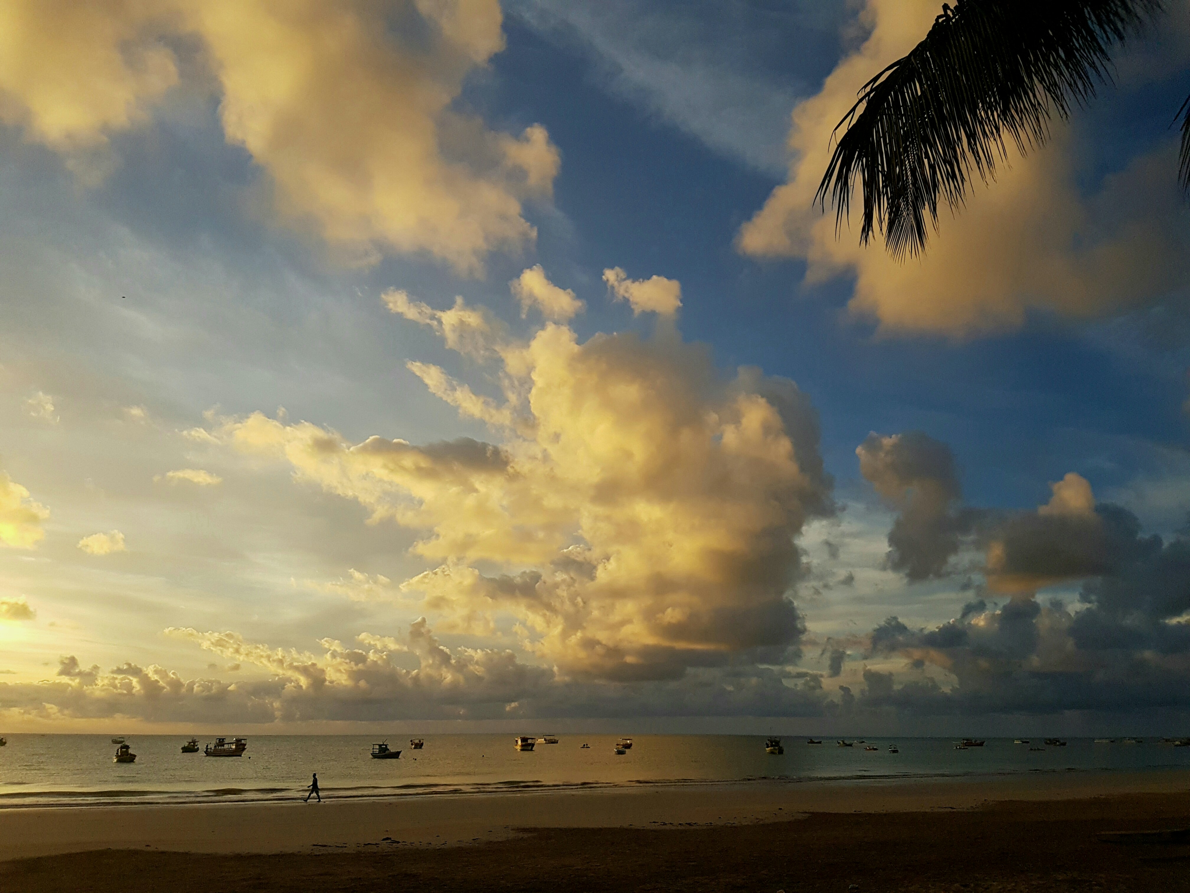 Free Unsplash photo from Carlos Aguilar