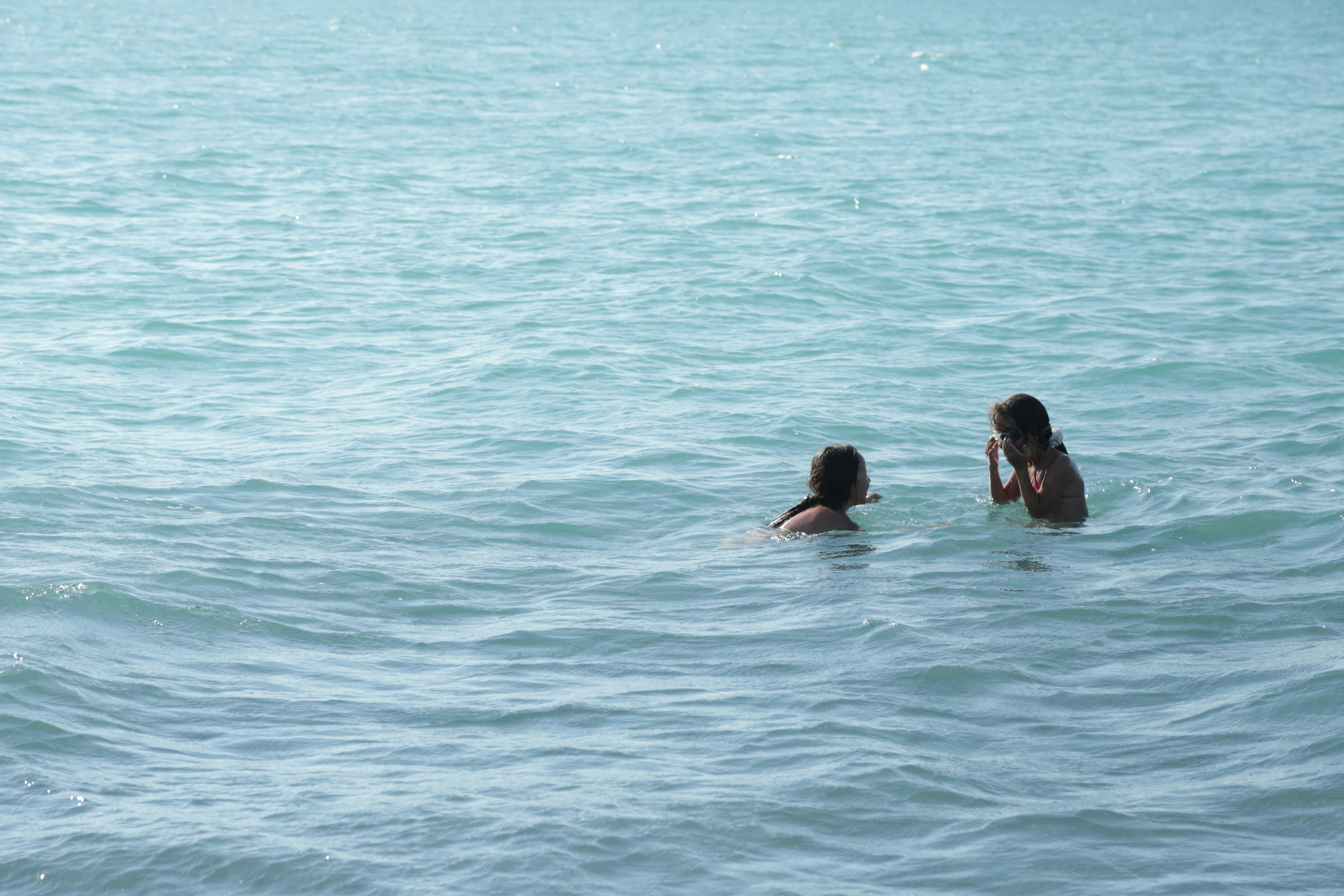 Free Unsplash photo from Adel Almaty