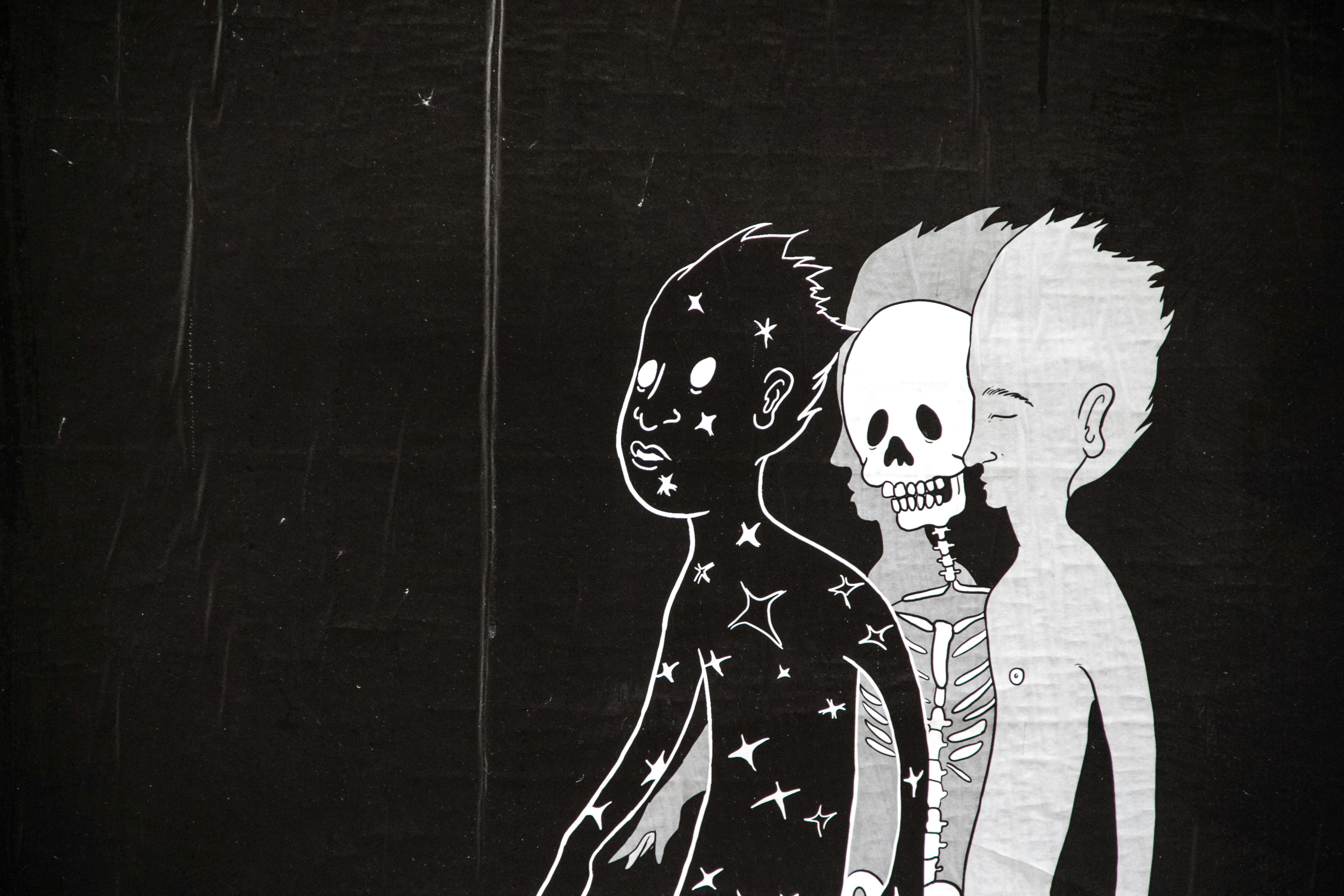 Free Unsplash photo from Dylan Collette