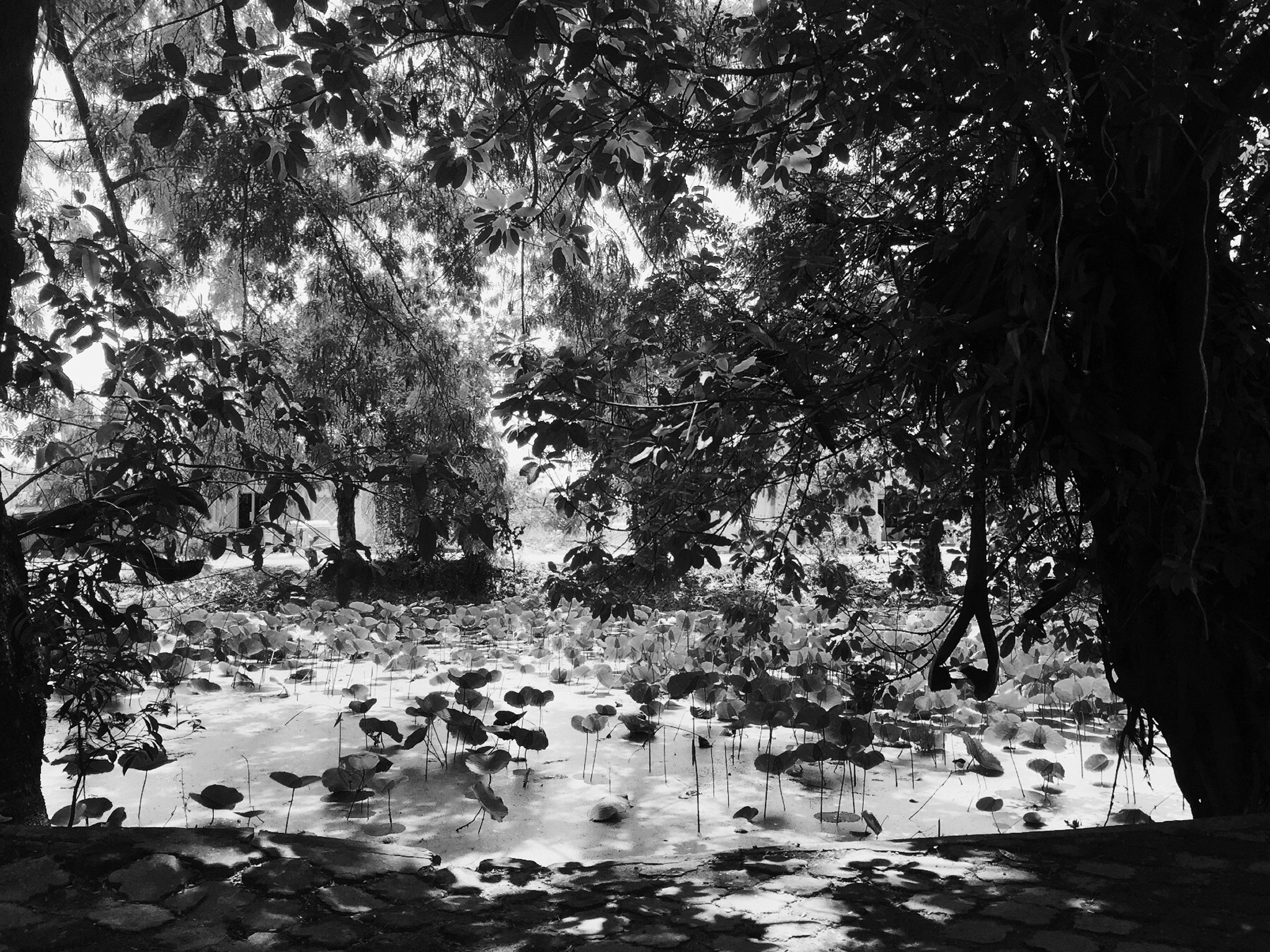 Free Unsplash photo from Merita Bin