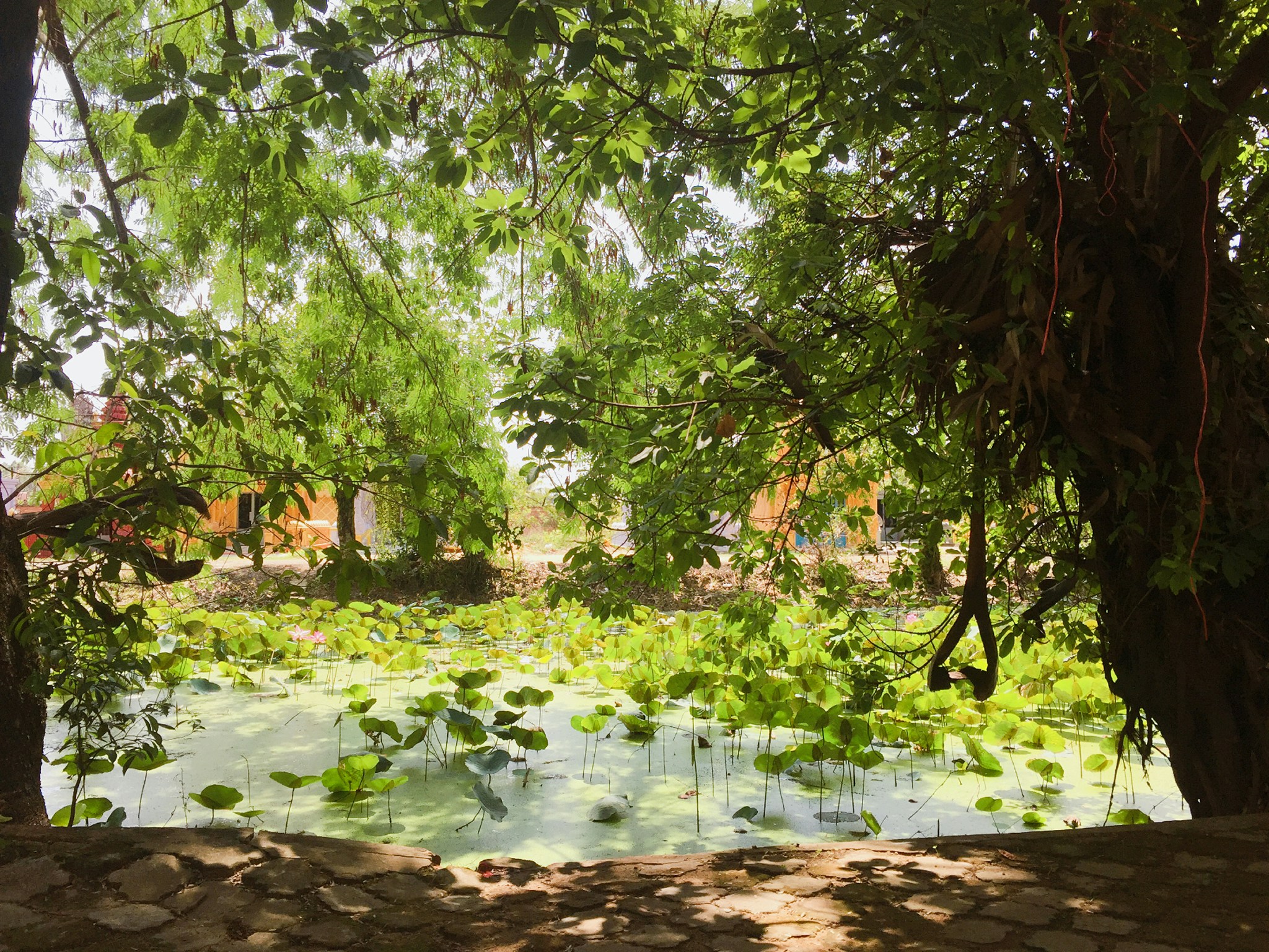 Free Unsplash photo from Merita Bin