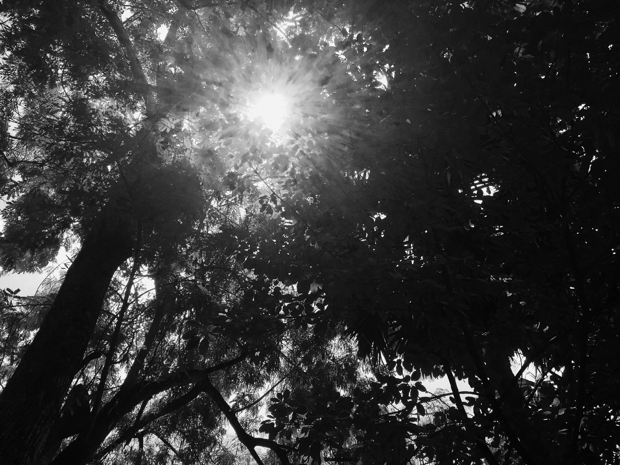 Free Unsplash photo from Merita Bin