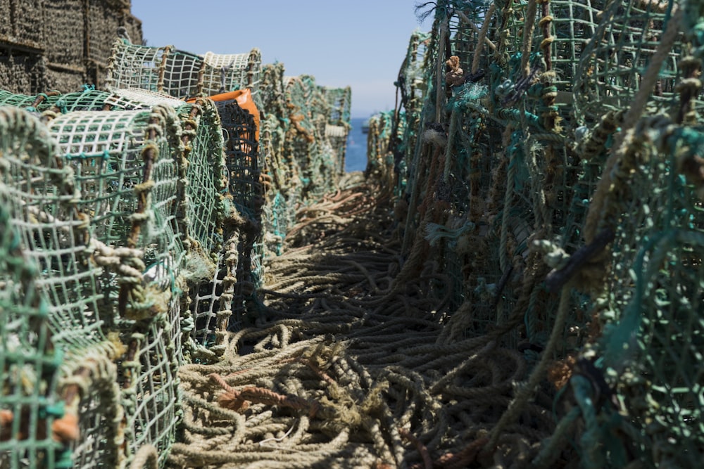 blue and brown ropes