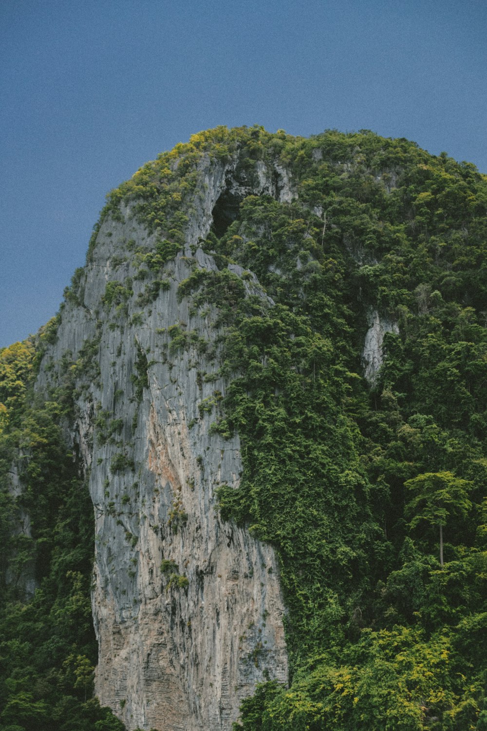 green and white mountain close-up photography